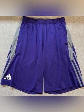 Mens Purple and Grey Climate ADIDAS athletic shorts size Small
